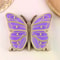Luxury Multi-Layer Jewelry Box with Large Butterfly Capacity & Desktop Storage
