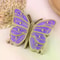 Luxury Multi-Layer Jewelry Box with Large Butterfly Capacity & Desktop Storage