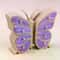 Luxury Multi-Layer Jewelry Box with Large Butterfly Capacity & Desktop Storage