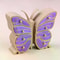 Luxury Multi-Layer Jewelry Box with Large Butterfly Capacity & Desktop Storage