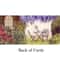 Secret Garden Magic Cards with Inspirational Messages