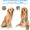 GentleGrip Pet Grooming Brush for Dogs & Cats with Stainless Steel Deshedding Comb