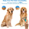GentleGrip Pet Grooming Brush for Dogs & Cats with Stainless Steel Deshedding Comb