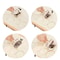 Stainless Steel Dumpling Cutter Roller for Perfect Homemade Dumpling Wrappers