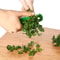 HerbEase Leaf Stripper and Vegetable Peeler for Kale, Rosemary and Fresh Herbs