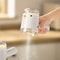 Chick Press Salt Dispenser Bottle for Precise Kitchen Seasoning Control
