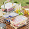 FreshLock Portable Picnic Food Storage Container with Drain Tray and Airtight Seal