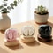 Mini Bluetooth Earbuds TWS Wireless Headset with Portable Comfort Fit Charging Case