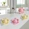 BloomGuard Sink Overflow Stopper For Kitchen Bathroom Drains 0