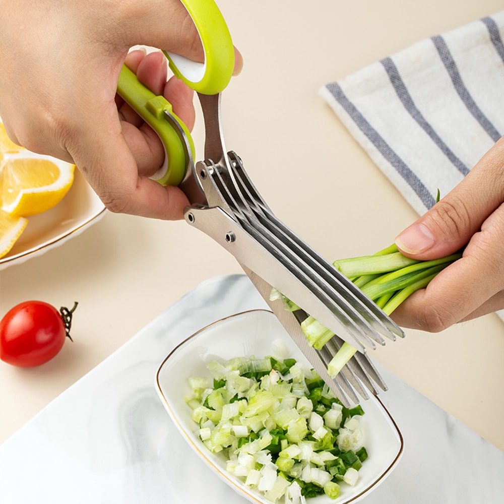 Stainless Steel Herb Scissors for Scallions, Herbs and Kitchen Prep