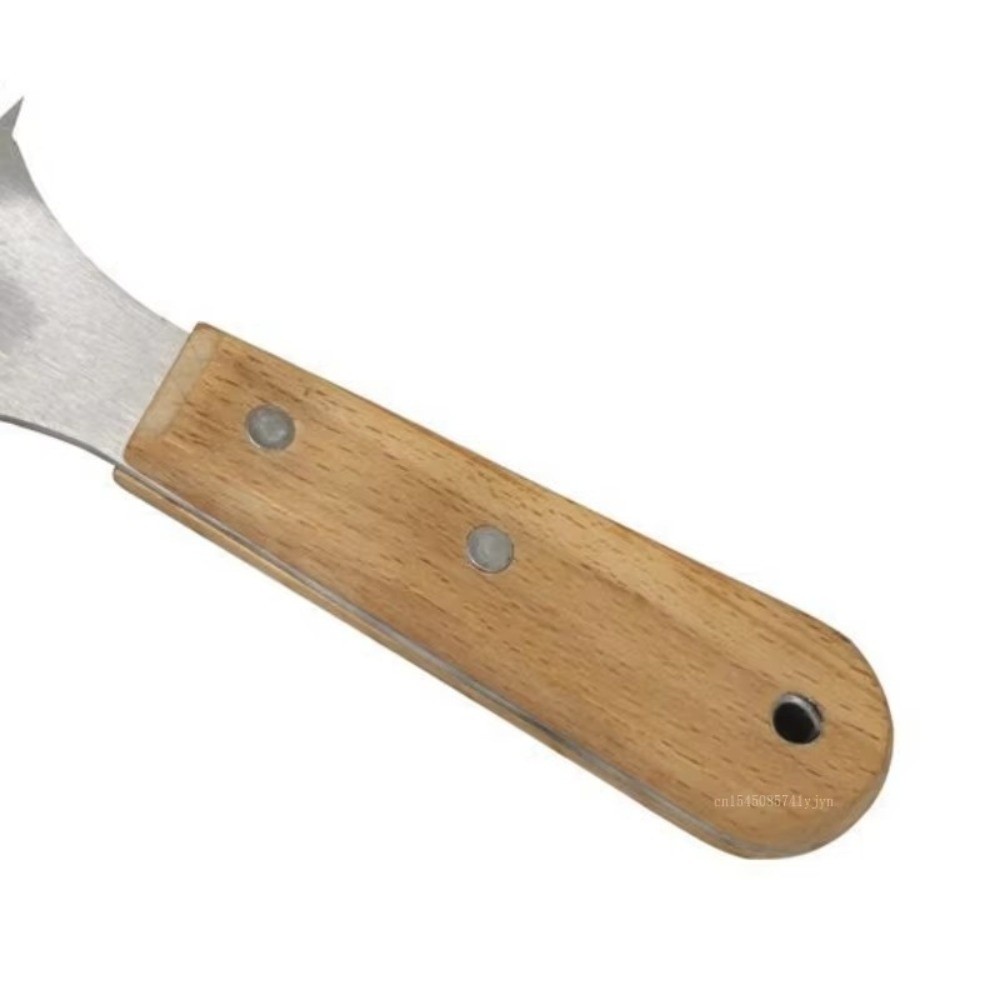 CocoCraft Stainless Steel Coconut Scraper With Wooden Handle For Fresh Coconut Milk Desserts 2