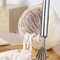 CocoClean Stainless Steel Coconut Scraper For Easy Coconut Meat Removal 4