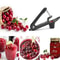 QuickPit Cherry Pitter & Jujube Corer Tool for Fast Fruit Seed Removal
