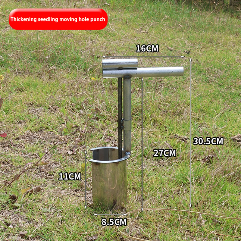 Stainless Steel Seedling Transplanter Tool For Vegetable Garden Planting 3