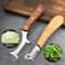 Scallion Master Stainless Steel Green Onion Shredder Herb Cutter 0