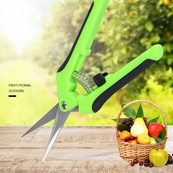 oNQ4Stainless-Steel-Garden-Pruning-Scissors-Home-Potted-Plant-Branch-Trimmer-For-Fruit-Picking-And-Weed-Removal.jpg