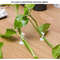 VWUzPlant-Climbing-Self-Adhesive-Wall-Vines-Tools-Fixture-Plant-Wall-Fixture-Clips-Fixed-Buckle-Hook-for.jpg