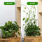 cXCrPlant-Climbing-Self-Adhesive-Wall-Vines-Tools-Fixture-Plant-Wall-Fixture-Clips-Fixed-Buckle-Hook-for.jpg