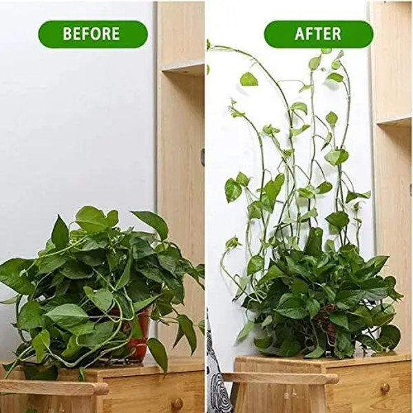 cXCrPlant-Climbing-Self-Adhesive-Wall-Vines-Tools-Fixture-Plant-Wall-Fixture-Clips-Fixed-Buckle-Hook-for.jpg