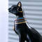 10DtSAAKAR-Resin-Egyptian-Anubis-Dog-Cat-God-Figurines-Wine-Rack-Bottle-Holder-Storage-Statue-Home-Living.jpg