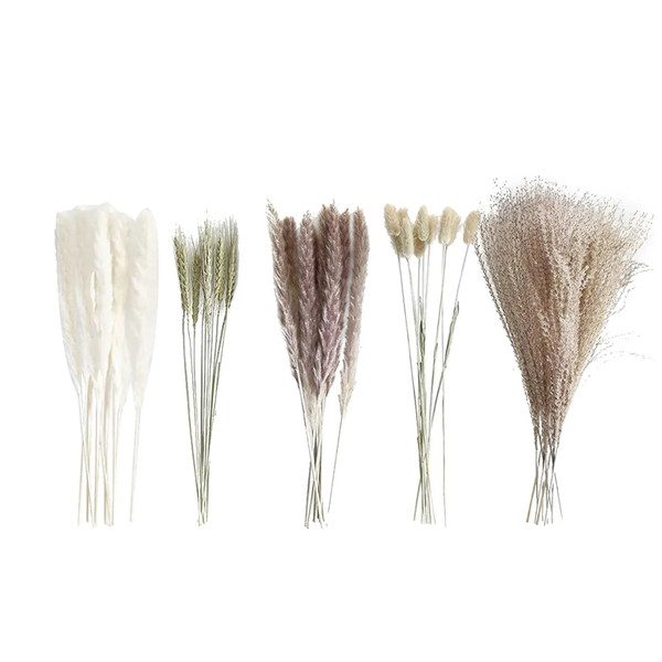 7UhqSmall-Dried-Flower-Bouquet-Small-Whisk-Small-Pampas-Grass-Dried-Flowers-Rabbittail-Elegant-Objects-Birds-for.jpg