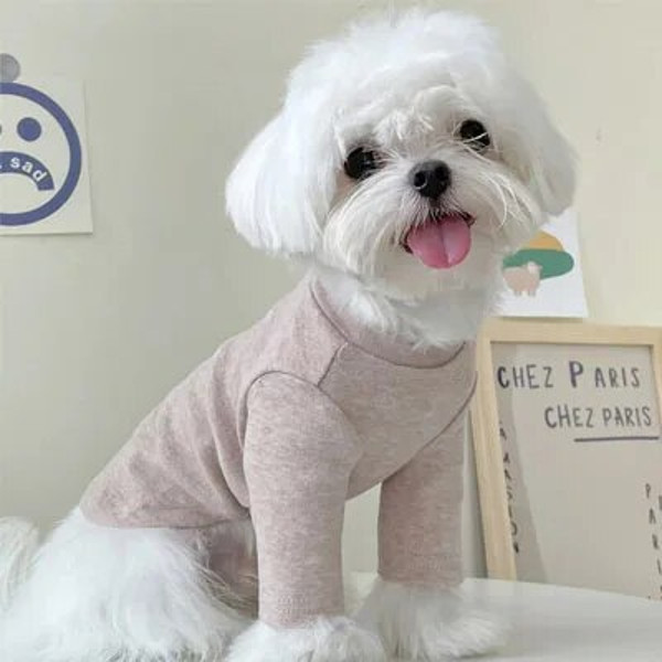 5ttTSoft-Cat-Clothes-Dog-Tshirt-Pullover-Sweatshirt-Turtleneck-Sweater-Shirt-Pet-Clothing-For-Small-Dogs-Chihuahua.jpg