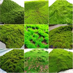 Outdoor Garden Decor: Artificial Turf Moss Grassland & Fake Grass Lawn Carpet