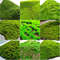 yyoIArtificial-Turf-Moss-Grassland-Fake-Grass-Lawn-Carpet-Artificial-Turf-Outdoor-Grass-Mat-Moss-Carpet-Outdoor.jpg