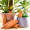 SelfWatering Plant Stakes Terracotta Automatic Plant Waterer Devices For Indoor Outdoor Plants 0