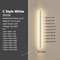 Minimalist Wall Lamps Line Light Long Strip Outdoor Garden Wall Lamp For Villa Background Decoratio 5