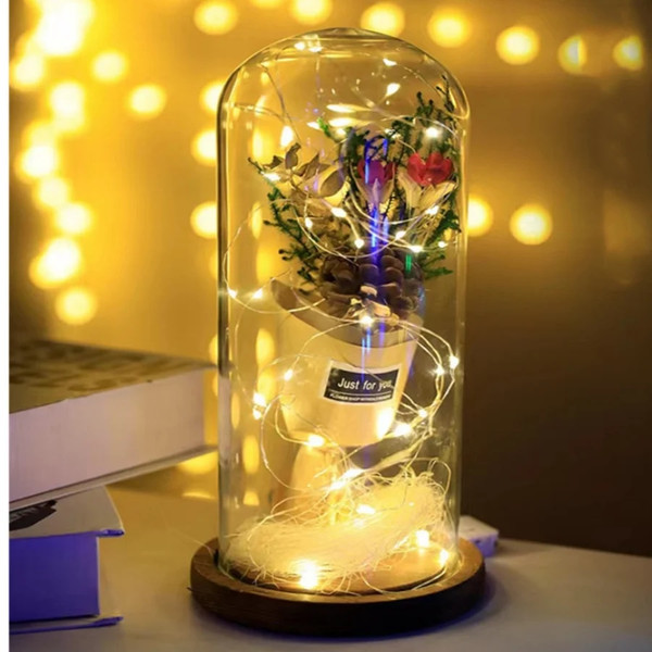 baANUSB-Battery-Copper-Wire-Garland-Lamp-30M-LED-String-Lights-Outdoor-Waterproof-Fairy-Lighting-For-Christmas.jpg