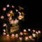 hTcB3M-30LEDS-Cherry-Blossom-Fairy-String-Lights-Pink-Flower-String-Lamps-Battery-Powered-For-Outdoor-Christmas.jpg