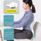 Ergonomic Back Support Cushion for Sitting Office Chair Posture Corrector for Back Pain Relief Wa