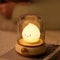 Cute Capybara Flameless Candle Night Light Dimmable 2Mode Bedside Lamp for Kid Bedroom