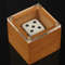 Magic Dice Trick Box Stage Illusion Prop For Kids  Adults Dot Number Change Dice Magic Props For Cl 0
