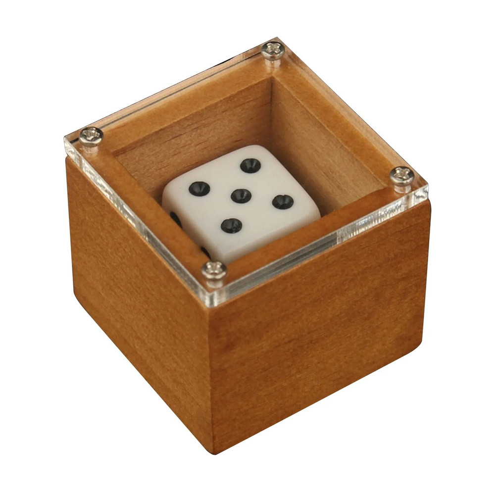 Magic Dice Trick Box Stage Illusion Prop For Kids  Adults Dot Number Change Dice Magic Props For Cl 2