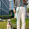 Reflective Nylon Dog Leash Slip Lead With Traffic Handle For Small Large Dogs HandsFree Running Pet 0
