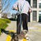 Reflective Nylon Dog Leash Slip Lead With Traffic Handle For Small Large Dogs HandsFree Running Pet 1