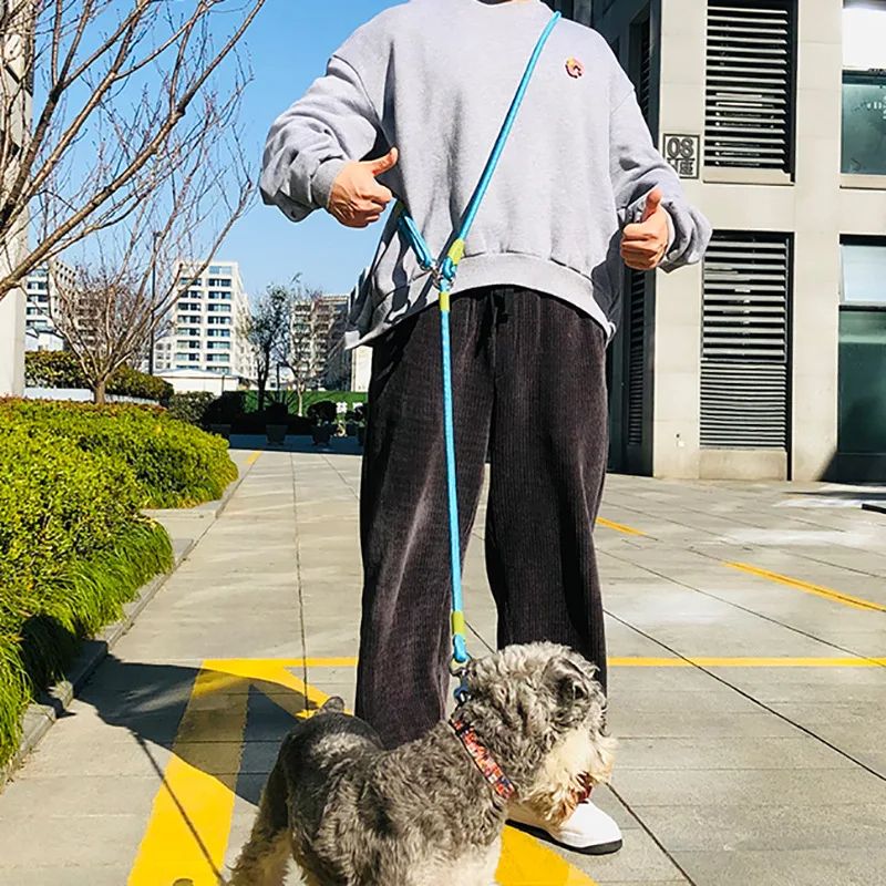 Reflective Nylon Dog Leash Slip Lead With Traffic Handle For Small Large Dogs HandsFree Running Pet 1