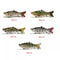 5PCS Lifelike Eyes 6Segment Bionic Bait With Treble Hooks Realistic Crucian Carp Fishing Lure For B 3