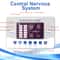 Electronic Pulse Massager Machine, 12 Modes Low Frequency Muscle Stimulator for Myostimulation & Physical Therapy Relief