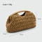 Women Straw Woven Handbag, Summer New Bag, Fashionable Raffia Clutch Purse for Beach, Vacation, Travel or Elegant