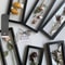 afUvDried-Flower-Frame-Storage-Box-Transparent-Dried-Flower-Display-Picture-Frame-Bracelet-Jewelry-Storage-Case-Home.jpg