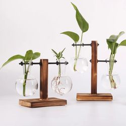 hydroponic plant terrarium vase: glass bottle decoration for home & office green plant small potted desktop decor