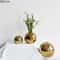 e46dPlating-Golden-Ball-Ceramic-Vase-Home-Decoration-Ornaments-Crafts-Flower-Pot-Art-Hydroponic-Vases-Home-Decoration.jpg