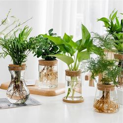 mini transparent terrarium glass hydroponic flower pot - soilless green plant vase for home tabletop decor in living roo