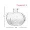 OEj2AvocadoSeedStarterVaseTransparentGlassVaseVaseforGrowingPlantGlassSeedGrowingKitf
