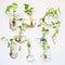 lNDKFashionWallHangingGlassFlowerVaseTerrariumWallFishTankAquariumContainerFlowerPlante