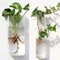 4ZqsFashionWallHangingGlassFlowerVaseTerrariumWallFishTankAquariumContainerFlowerPlante