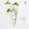 iTOxFashionWallHangingGlassFlowerVaseTerrariumWallFishTankAquariumContainerFlowerPlante